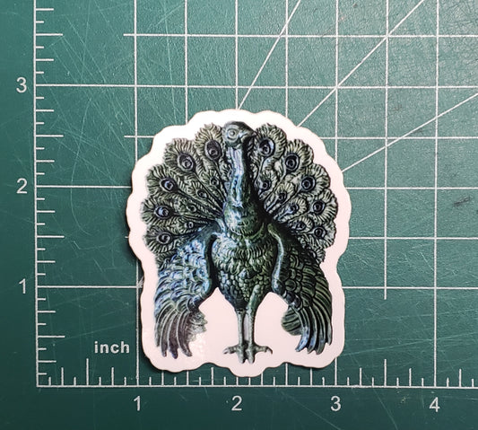 Peacock Tile Sticker